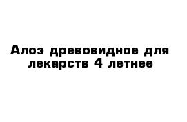 Алоэ древовидное для лекарств 4 летнее